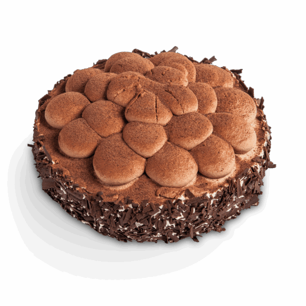 Mousse au Chocolate Torte